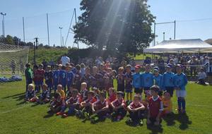 Ecole de foot : 110 enfants à Reventin pour la journée d'accueil U7 !