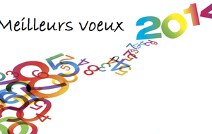 Voeux 2014