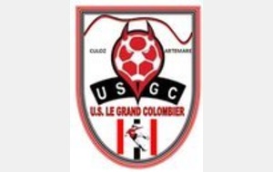 Coupe de France : L'adversaire du 3e tour connu !