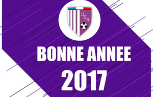 Bonne année 2017 !