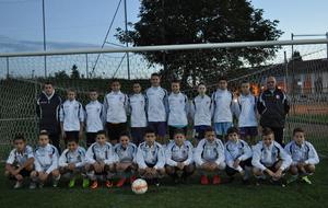 528e4275d67fb_U15.JPG