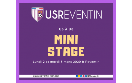 Un mini-stage d'hiver aussi pour les plus petits (U6 à U8) !
